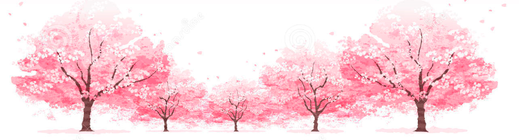 Cherry Blossums