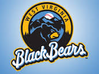 Black Bear Logo